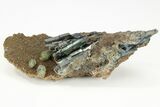 Gemmy, Blue-Green Vivianite Crystals with Ludlamite - Brazil #208693-1